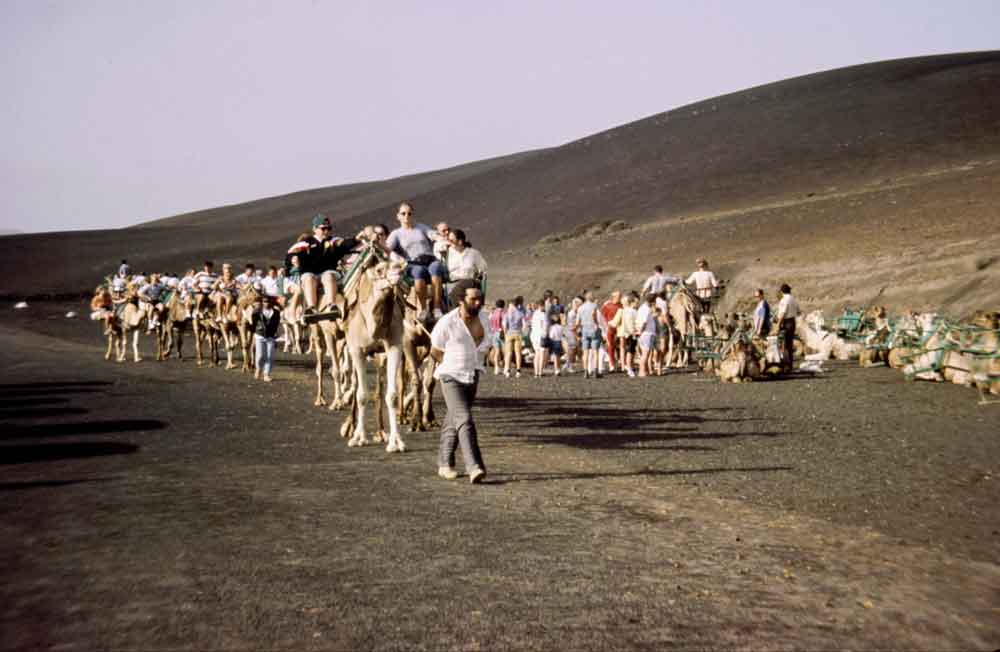 12 - Lanzarote, parque nacional de Timanfaya, paseo en dromedario